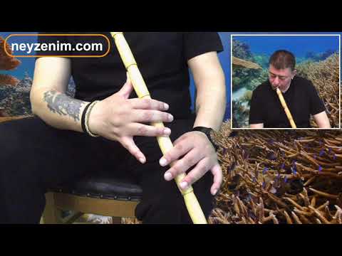 Ney Dersleri 14  Ney enstrumanında dem seslerimizi geliştirmek için hazırladığımız 2. cümle