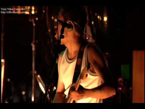 Chancho 6 DVD - Funkytumadre  Chancho en piedra