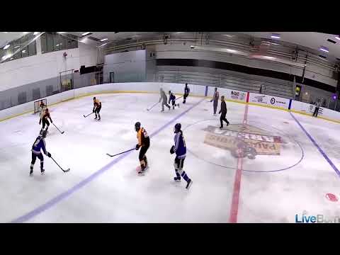 3.16.25 vs Shake N Bake