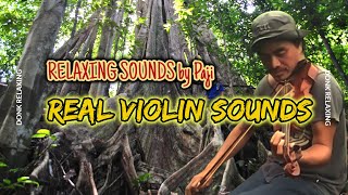 Download lagu Nature sounds relaxing music real violin I Musik santai suara biola asli mp3 Download lagu Nature sounds relaxing music real violin I Musik santai suara biola asli mp3