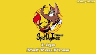 Liqo - Set You Free (Original Mix) [Drum'n'Bass]