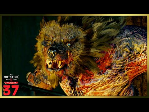 BEATING MORKVARG Pt.2 - In Wolf's Clothing! - The Witcher 3 Next Gen - Part 37