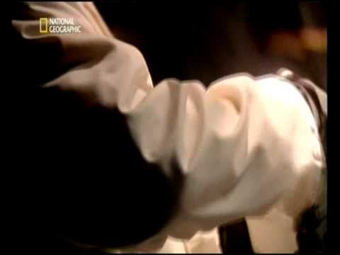 Mayday Alarm im Cockpit - Panik auf dem Rollfeld Teil 4