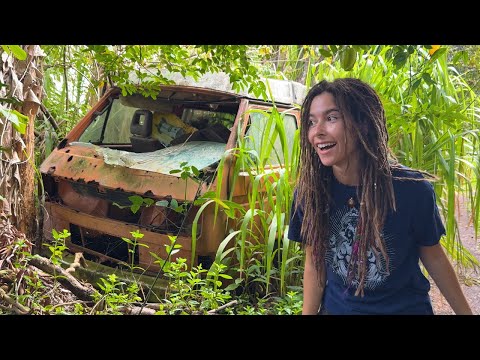 Can My Van Make it Out of the Jungle?