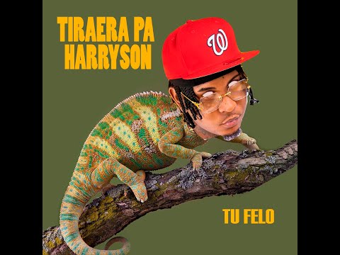 TIRAERA PA HARRYSON - TU FELO