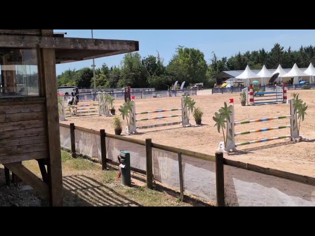 Poney CSO &agrave; vendre 
