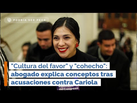"Cultura del favor" y "cohecho": abogado explica conceptos tras acusaciones contra Cariola (PSP)