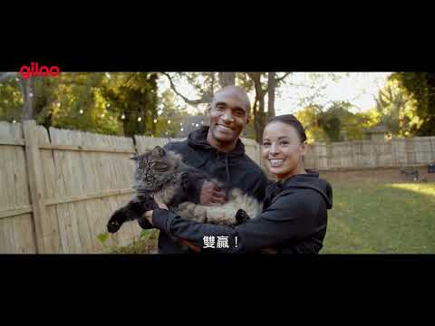 《貓爸爸們》預告片｜鏟屎官必看！當硬漢遇到貓咪，也只有當好貓奴的份｜Giloo紀實影音