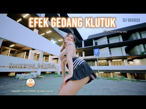 Dj Efek Gedang Klutuk - Shepin Misa (Official Music Video)