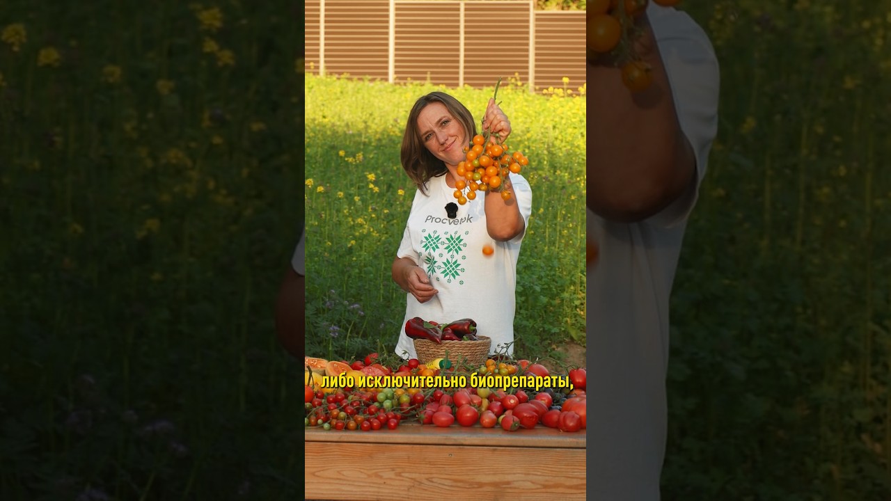 Так химия или биопрепараты? Ставим точку и получаем здоровый вкусный урожай! Агрореалити: послесловие