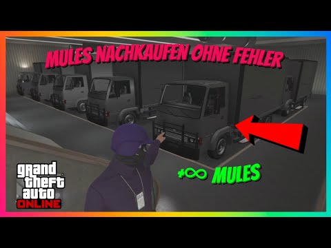 😱 Buy an unlimited number of custom mules after a bug! 🚛 GTA 5 Online Glitch 2025 (Patch 1.71)