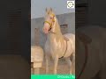 Ertugrul Ghazi Theme What A Beauty CP DAIRIES