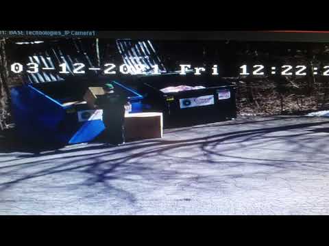 when the dumpster fights back