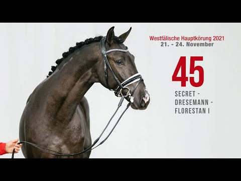 Hauptkörung 2021 Reitpferdehengste Kat-Nr. 45  Secret - Dresemann - Florestan I