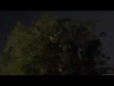 Night Time F-22 Raptor afterburner take off Darwin