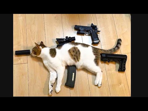 Catto Gun - DarkViperAU