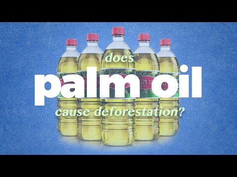 棕櫚油的真正問題。 (The real problem with Palm Oil.)