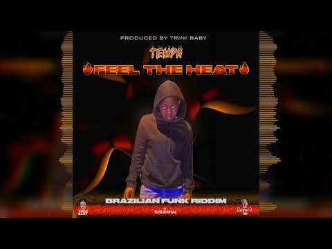 Tempa- Feel The Heat