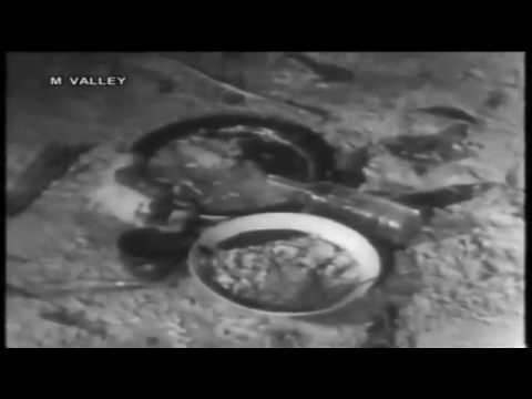 P  Ramlee   Penarek Becha 1955