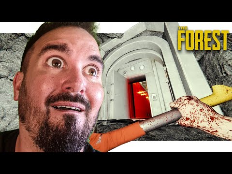 We Find a Secret Route out of The Forest