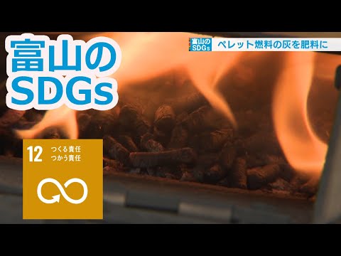 蘭に木炭や木灰を加えますか？その理由は次のとおりです。  庭園