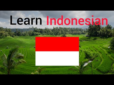 Learn Indonesian While You Sleep 😃 Most Important Indonesian Phrases and Words 👍 English/Indonesian