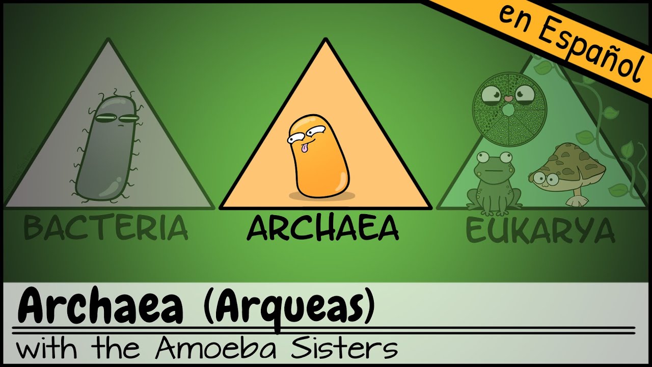 Arqueas