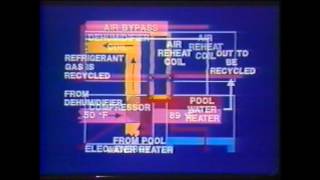 Dectron Archive Training Video