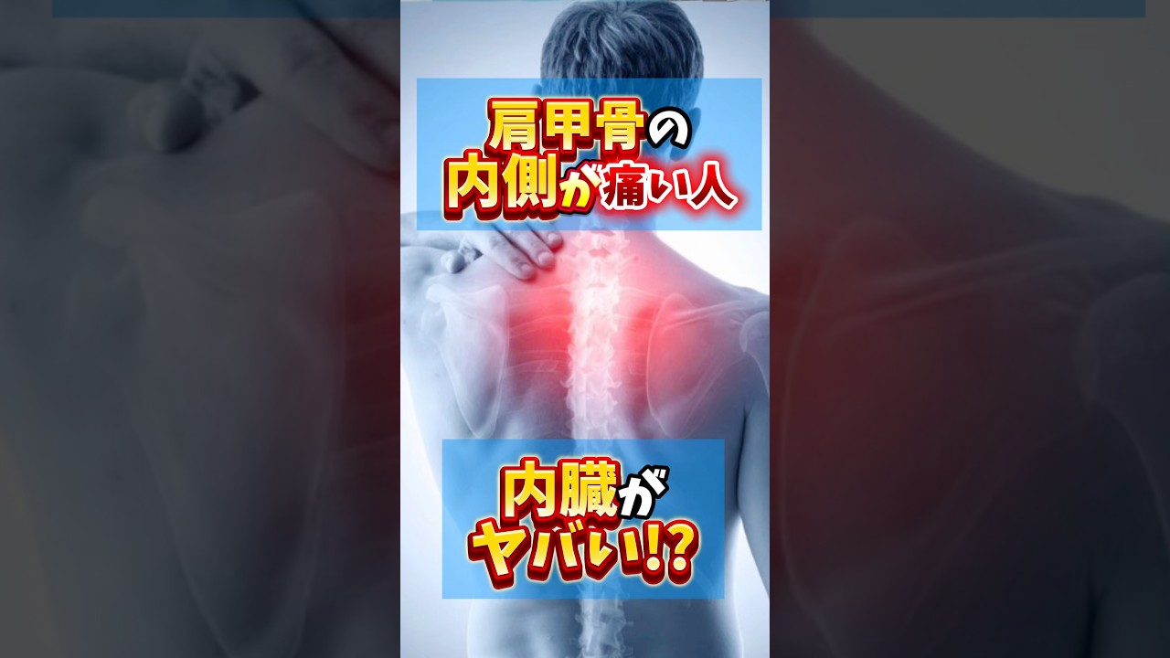 【肩甲骨の内側痛い❓】それ内臓がヤバいかも⁉️ #背中の痛み