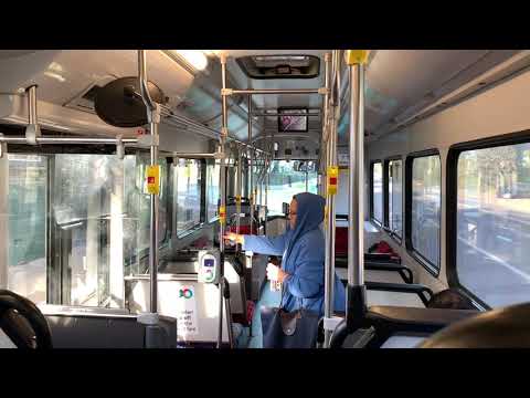 STA Sydney m/o 4884 - Mercedes-Benz O500LE CNG (ZF Kickdown)