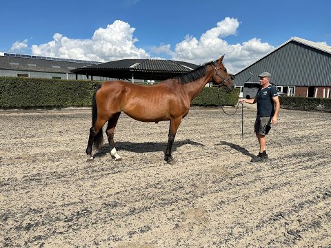 Havanna EK HEARTBREAKER x LUX Z - Video 4 video thumbnail