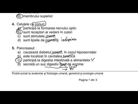 Rezolvare simulare Biologie Bacalaureat 2024 [partea 1]