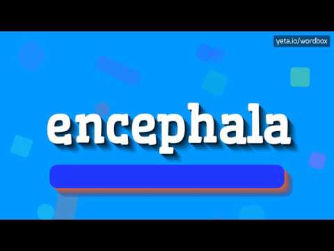ENCEPHALA - HOW TO PRONOUNCE ENCEPHALA?