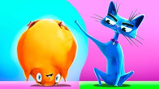 Cat’s Yoga Routine | Cat vs Hamster vs Dog | Funny pets