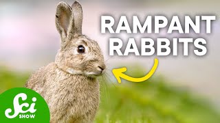 Why Can't We Just Kill Off Invasive Species?