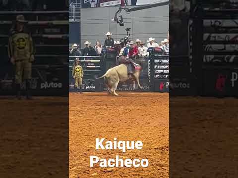 Kaique Pacheco vs Happy Camper - 89.00 pontos
