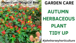 MASTER THESE AUTUMN GARDEN CUTBACK TIPS FOR AMAZING SPRING GROWTH!