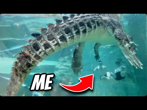 I Spent 15 Minutes In A Cage With Australia’s Deadliest Animal