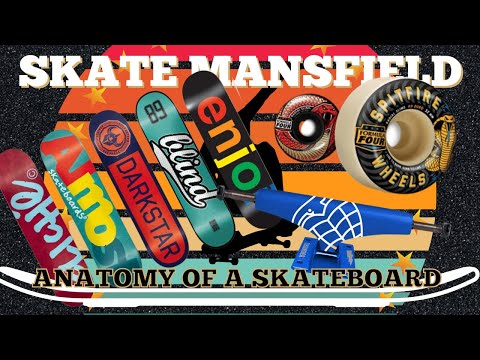 #6 | The Anatomy of a Skateboard