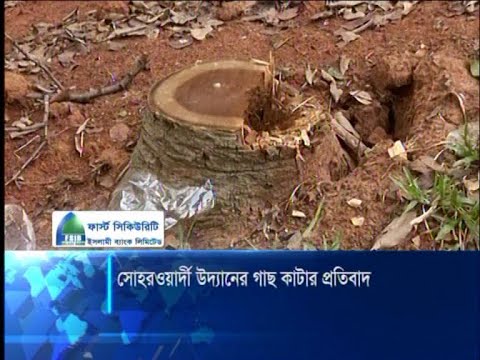 সোহরাওয়ার্দী উদ্যানে গাছ কাটায় প্রতিবাদের ঝড়