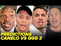 FIGHTERS & EXPERTS PREDICT CANELO VS GGG 3