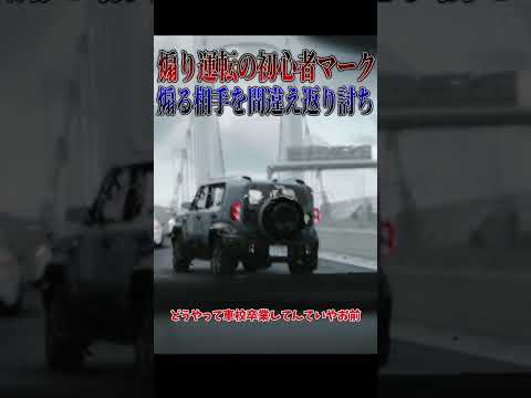 【超スカッと】若葉マークがイキって煽り運転！？しかし煽る相手がまさかの警察で人生詰む🤣🤣🤣#shorts