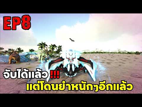จับอัลฟาเเท้งค์ได้เเล้ว!!! เเต่โดนยำหนักๆอีกเเล้ว ARK SUPREME EP8