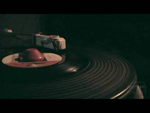 Jurassic SoundSystem @ JAMBOREE PARTY  - Toots & The Maytals Pressure Drop