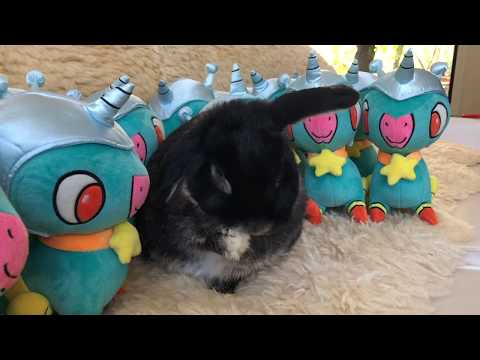 The official Space Unicorn Plush Mascot from Parry Gripp!!!