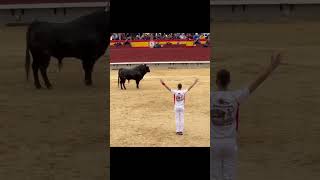 Download lagu Pertunjukan banteng matador #reel #animals #bull #wildlife mp3