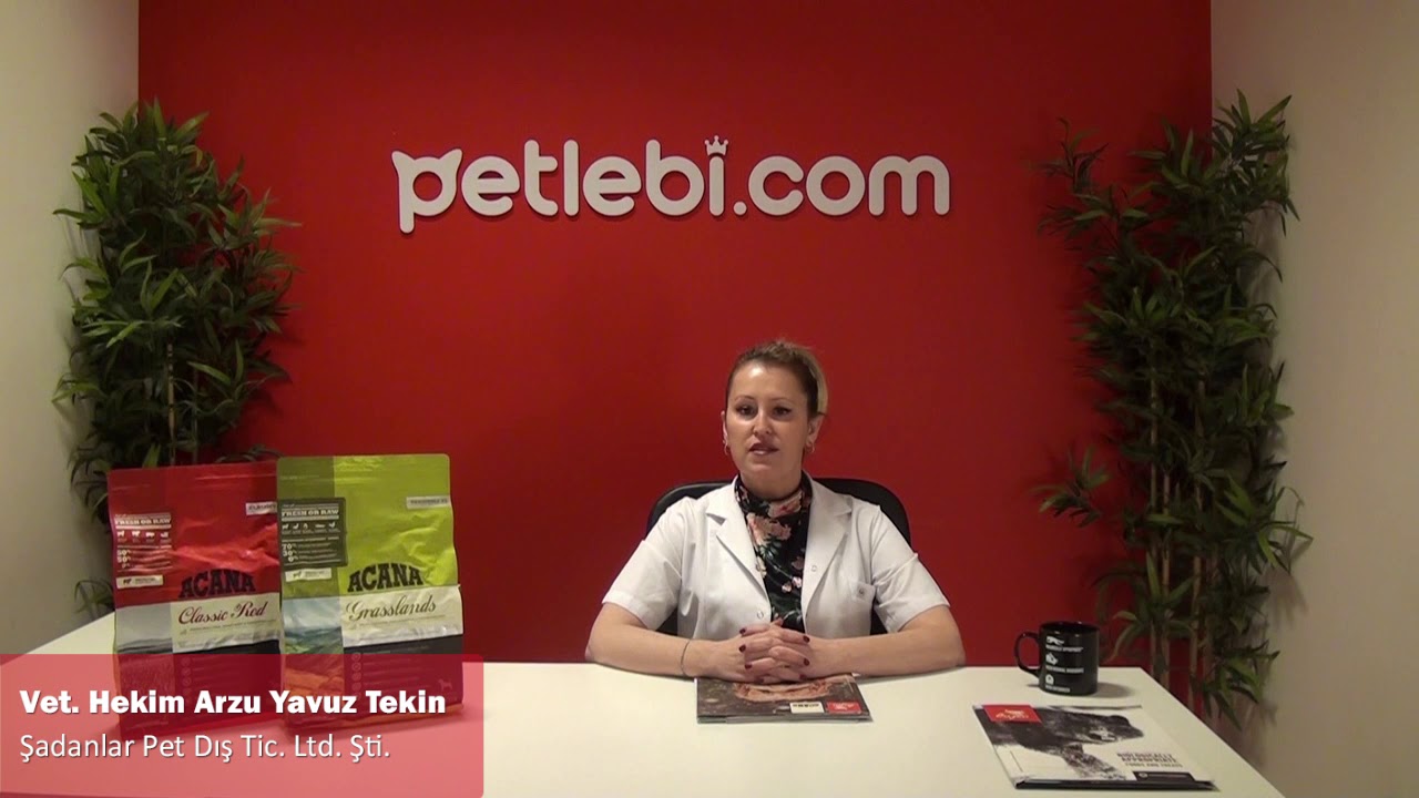 Acana Heritage Senior Yaşlı Köpek Maması 11,4kg tanıtım video görseli