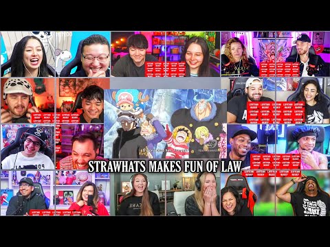 Strawhats Makes Fun of Law Reaction Mashup | One Piece Episode 594