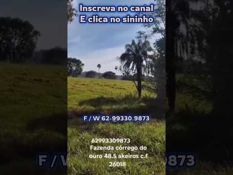 Fazenda de 48,5 alqueires no Corrego do Ouro Go ##brasil #fazenda #mercadoagricola #pecuarista #gado