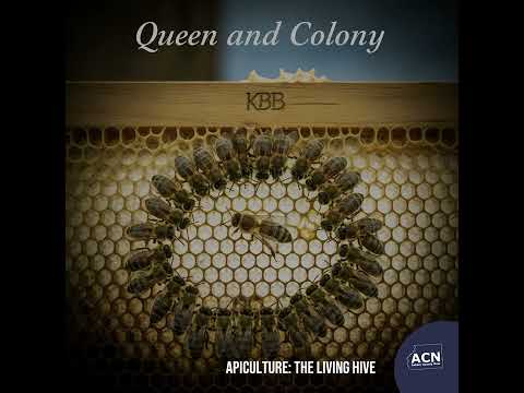 Beekeeping - Apiculture - Chapters 1 - 3